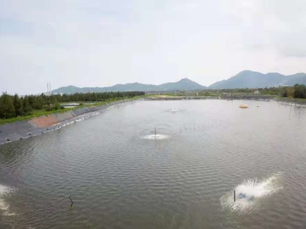 淺要分析氨氮毒理?。?！